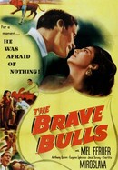 The Brave Bulls poster image