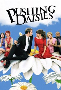 Pushing Daisies: Season 1 poster image