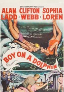 Boy on a Dolphin poster image