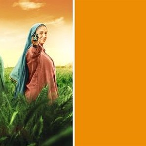 Saand Ki Aankh Trailer 1 Trailers Videos Rotten Tomatoes