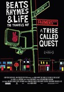 Beats, Rhymes & Life: The Travels of A Tribe Called Quest poster image