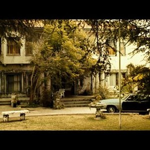 "Rushlights photo 13"