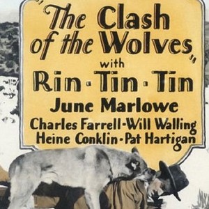 Clash of the Wolves photo 2
