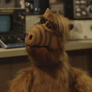 ALF: Season 2, Episode 1 - Rotten Tomatoes