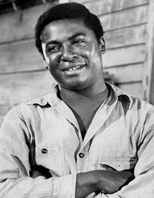 D'Urville Martin