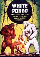 White Pongo poster image