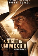 A Night in Old Mexico poster image
