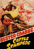 Cattle Stampede poster image