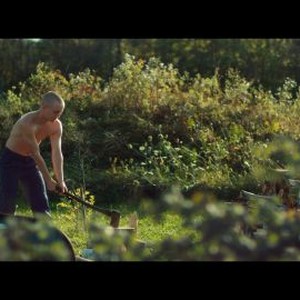 In Our Mothers' Gardens - Rotten Tomatoes