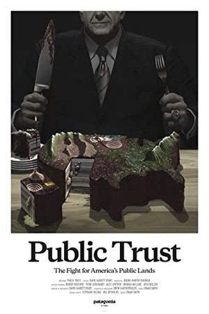 Public Trust poster