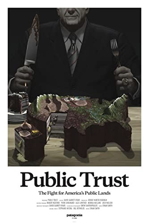 Public Trust poster