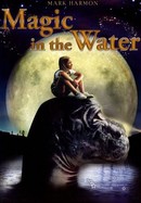 Magic in the Water poster image