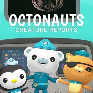 Octonauts: Creature Reports - Rotten Tomatoes