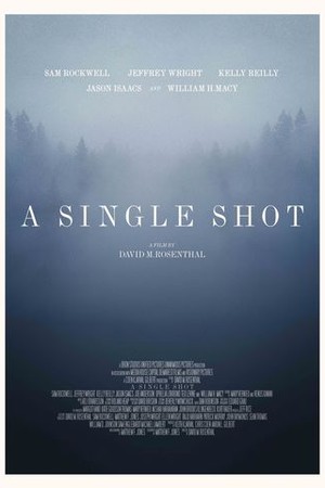A Single Shot poster