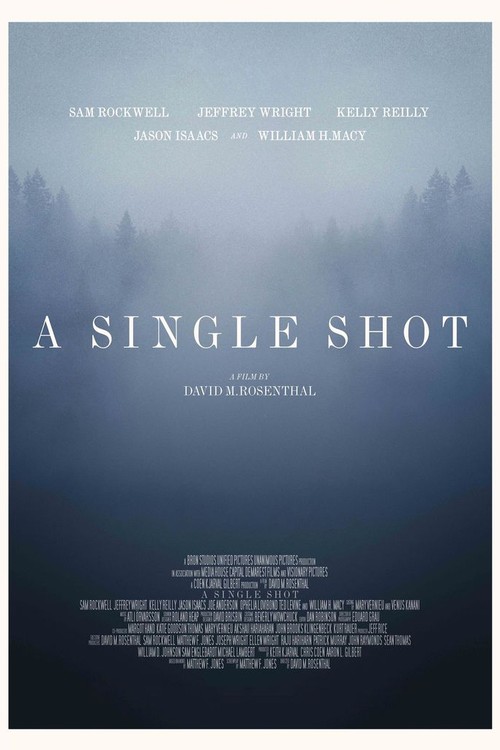 A Single Shot poster