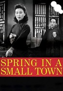 Spring in a Small Town poster image