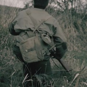 The Hole Rotten Tomatoes