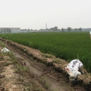 "Letter From Masanjia photo 7"