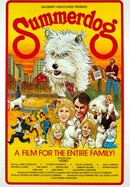 Summerdog poster image