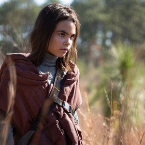 65 - Rotten Tomatoes