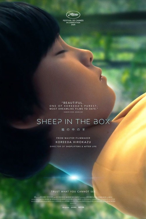Sheep in the Box poster