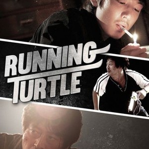 Running Turtle photo 11