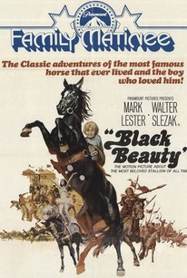 タ*シ様 DeliciousTaylormade The BlackBeauty 41wR0fwsl5L._AC_SY200_QL15_.jpg