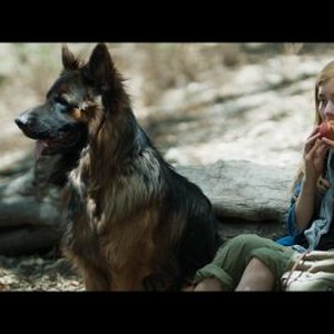 Harper - Rotten Tomatoes