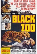 Black Zoo poster image