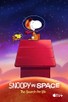 Poster for 