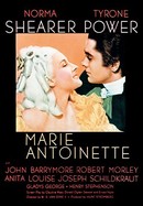 Marie Antoinette poster image