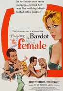 The Female poster image