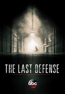 The Last Defense poster image