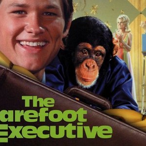 The Barefoot Executive photo 9