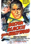 Boston Blackie Goes Hollywood poster image
