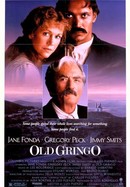 Old Gringo poster image