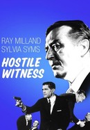 Hostile Witness poster image