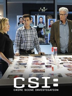 CSI: Crime Scene Investigation: Season 12 | Rotten Tomatoes