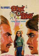 Biwi O Biwi poster image