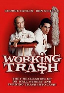 Working Trash poster image
