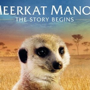 "Meerkat Manor: The Story Begins photo 9"