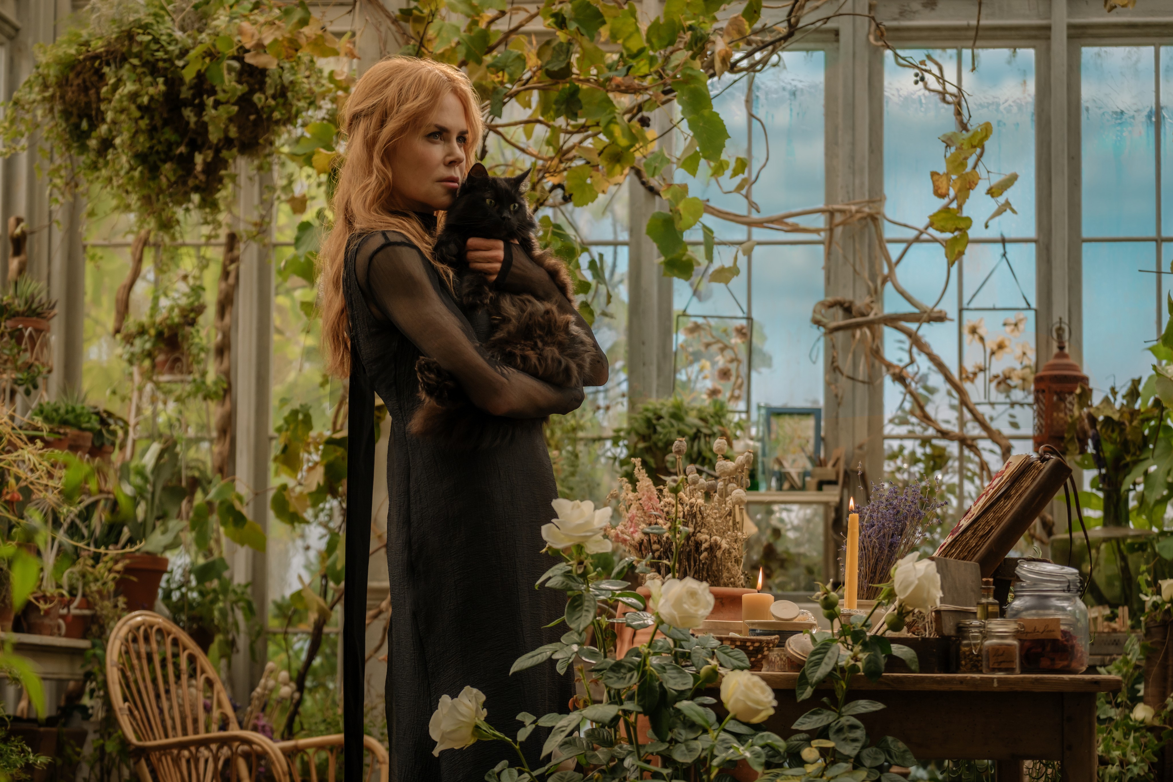 Practical Magic 2 кадр