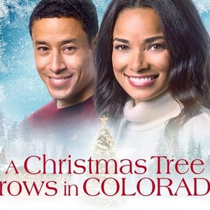 A Christmas Tree Grows in Colorado photo 8