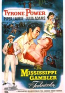 The Mississippi Gambler poster image