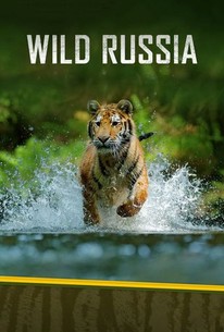 Wild Russia: Season 1 | Rotten Tomatoes