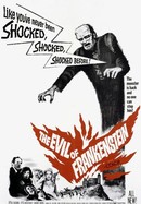 The Evil of Frankenstein poster image
