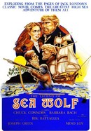 The Legend of Sea Wolf poster image
