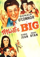Mister Big poster image