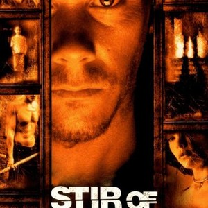 Stir Echoes - Rotten Tomatoes