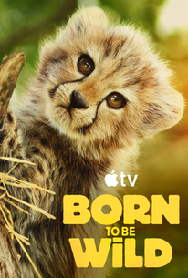 Born to be Wild